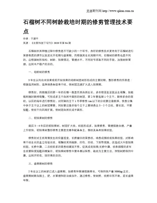 石榴树不同树龄栽培时期的修剪管理技术要点