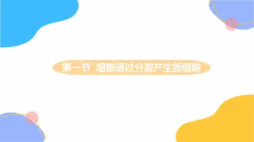 生物人教版七年级(上册)2.2.1细胞通过分裂产生新细胞教学(2024版新教材)