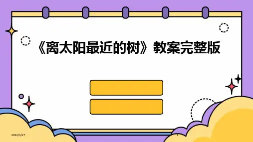 《离太阳最近的树》教案完整版-2024鲜版