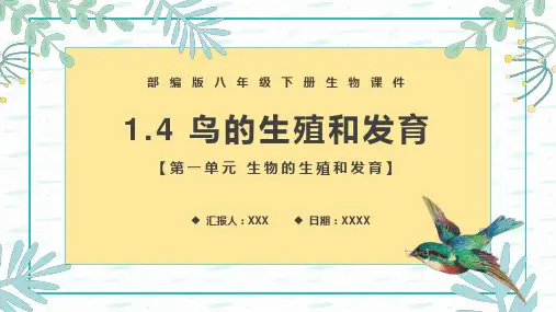 《鸟的生殖和发育》PPT课件