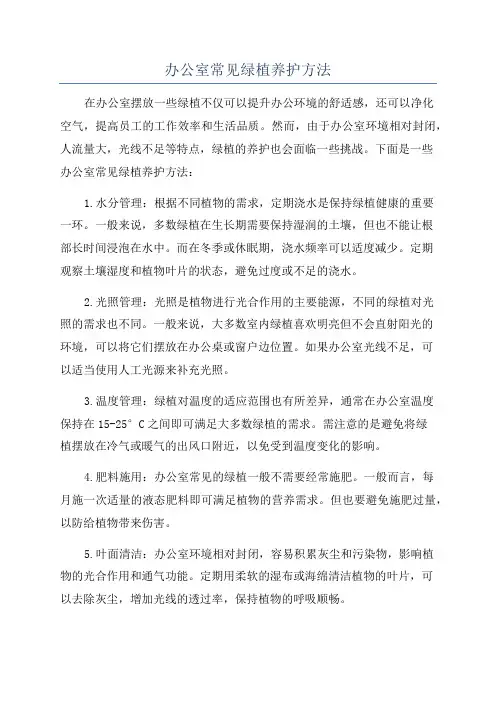 办公室常见绿植养护方法