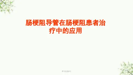 肠梗阻导管治疗课件