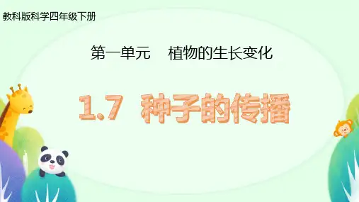 教科版科学四年级下册7.种子的传播 (课件)