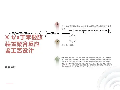 丁苯橡胶装置聚合反应器工艺