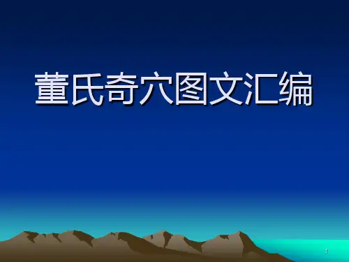 董氏奇穴详解图文PPT精选课件