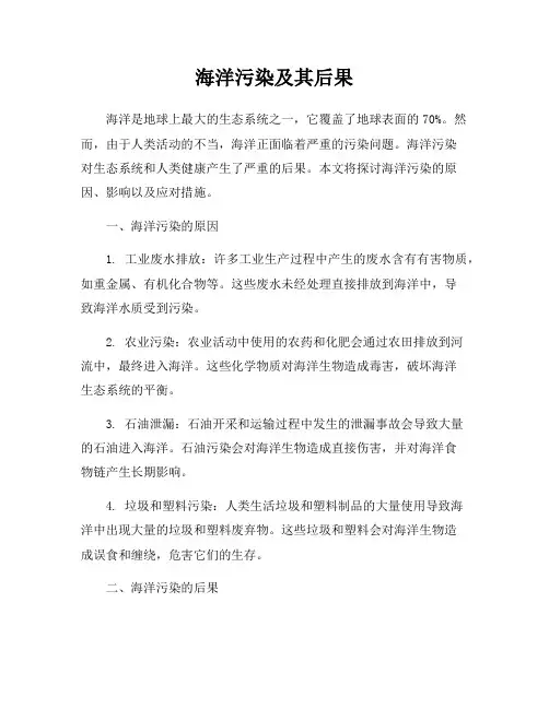 海洋污染及其后果