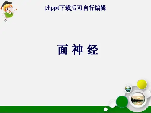 面神经ppt课件