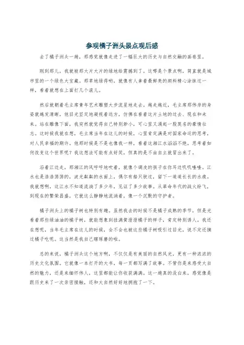 参观橘子洲头景点观后感