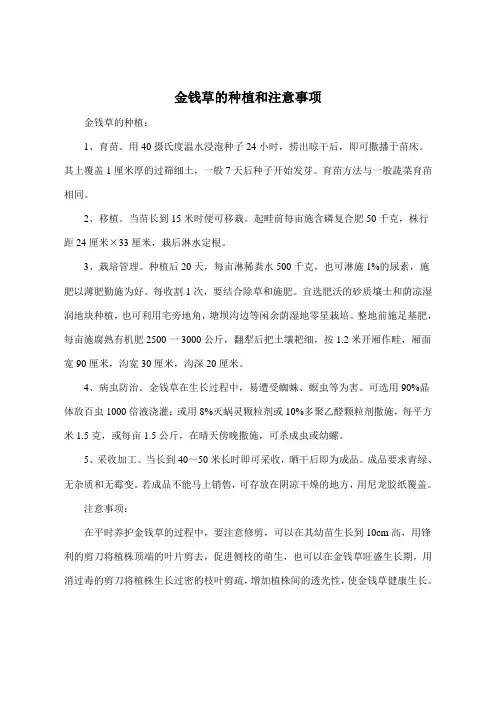 金钱草的种植和注意事项