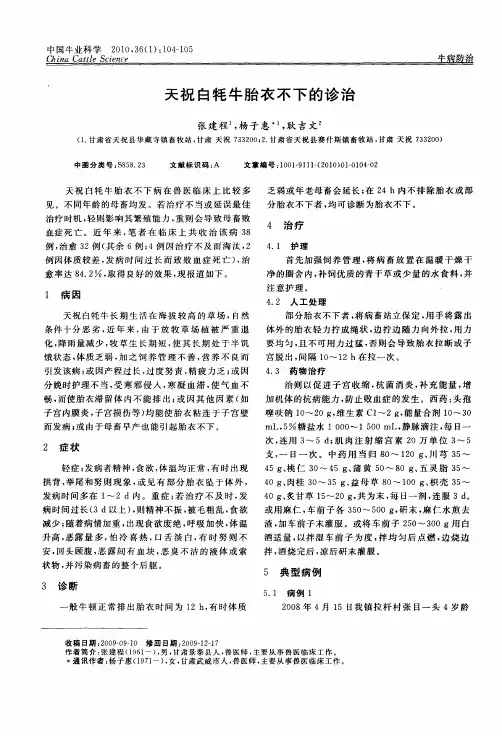 天祝白牦牛胎衣不下的诊治