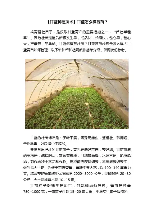 【甘蓝种植技术】甘蓝怎么样育苗？