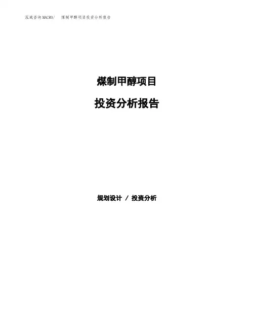 煤制甲醇项目投资分析报告 (1)