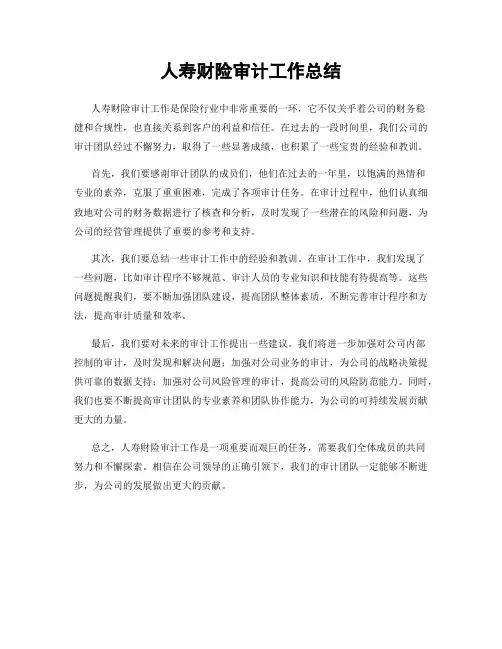 人寿财险审计工作总结