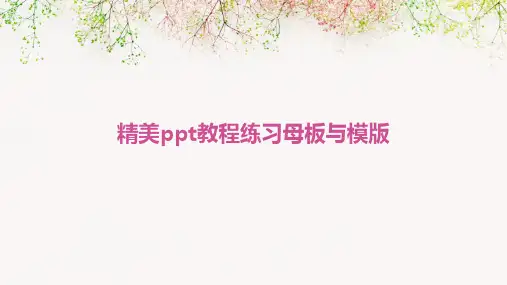 精美PPT教程练习：母板与模版