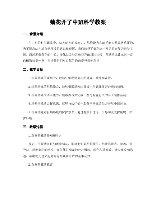 菊花开了中班科学教案