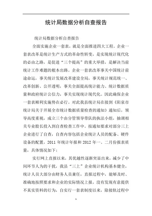 统计局数据分析自查报告