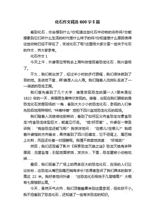 化石作文精选600字5篇