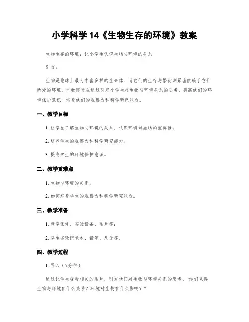 小学科学14《生物生存的环境》教案