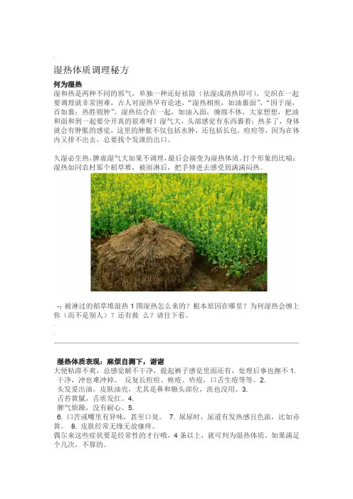 湿热体质调理秘方