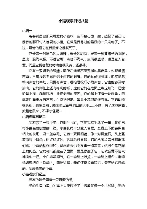 小猫观察日记八篇