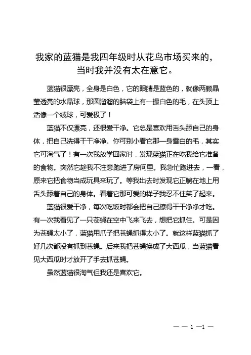 以我家的蓝猫为主题写一篇作文