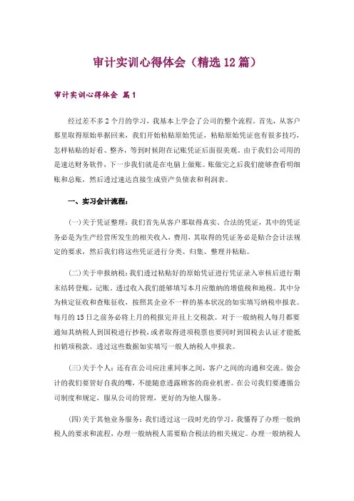 审计实训心得体会(精选12篇)