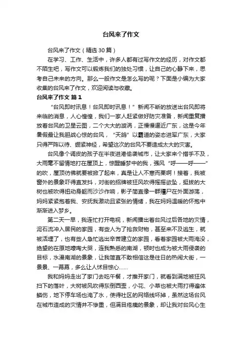 台风来了作文（精选30篇）
