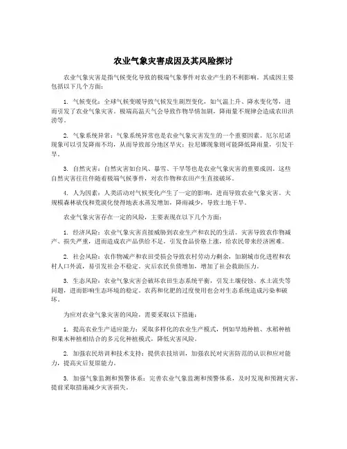 农业气象灾害成因及其风险探讨