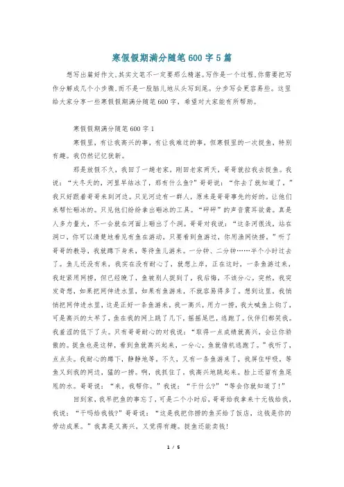 寒假假期满分随笔600字5篇