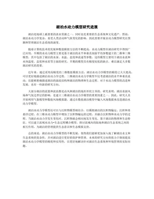 湖泊水动力模型研究进展