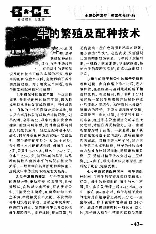 牛的繁殖及配种技术
