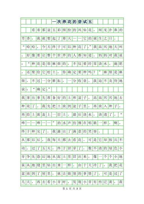 年一次养花的尝试五年级作文
