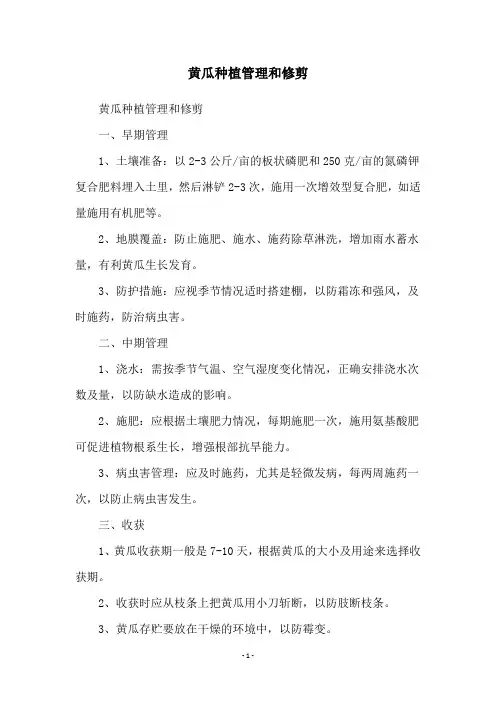 黄瓜种植管理和修剪