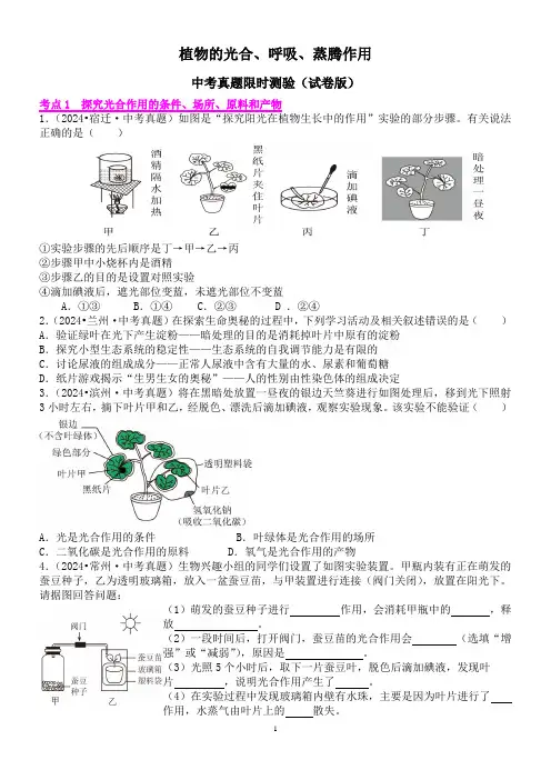植物的光合、呼吸、蒸腾作用 - 中考真题(试卷版)