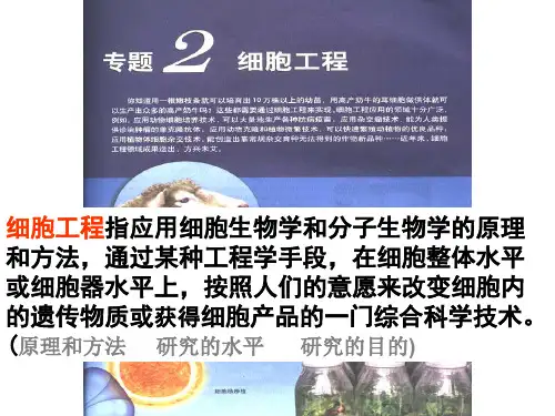 21植物细胞工程 211植物细胞工程的基本技术30页PPT