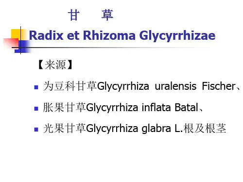 中药鉴定学课件 全套 第5章② 根和根茎类-3 甘草-人参