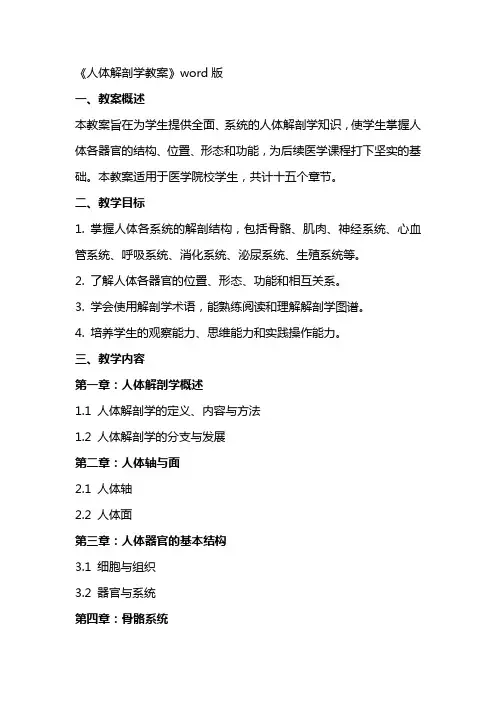 《人体解剖学教案》