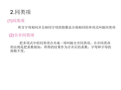 初三复习 2(PPT)5-3.整式[下学期]  北师大版
