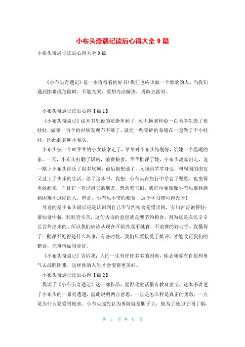 小布头奇遇记读后心得大全9篇