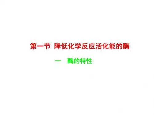 酶的特性 课件  高中生物课件