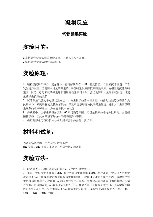 凝集反应 山大