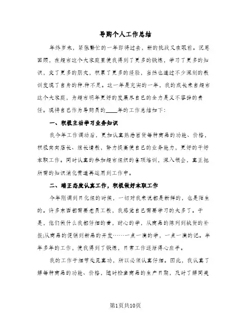 导购个人工作总结(5篇)