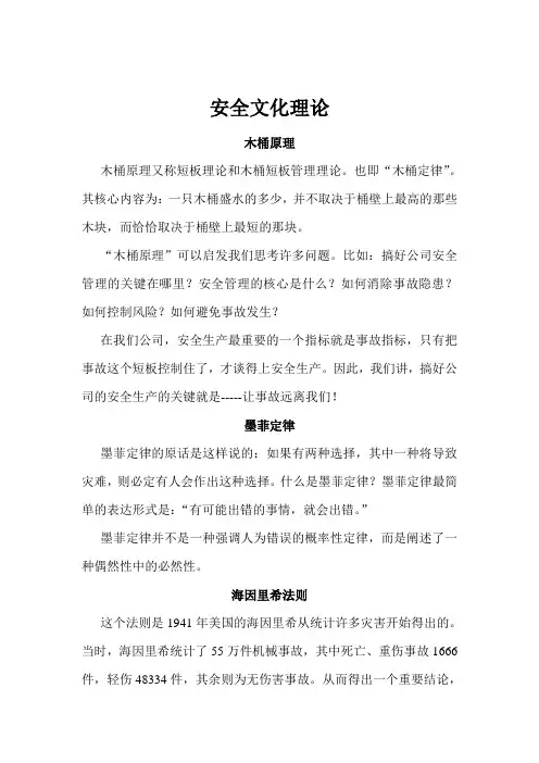 安全文化理论