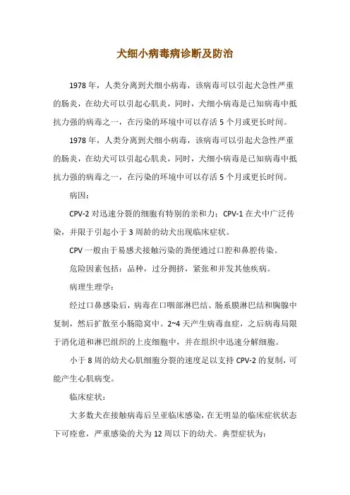 犬细小病毒病诊断及防治