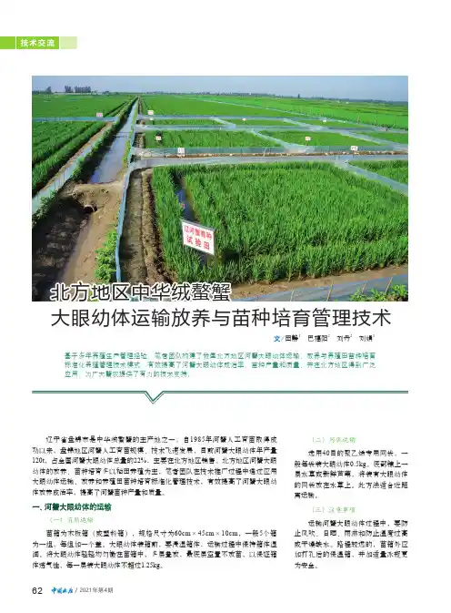 北方地区中华绒螯蟹大眼幼体运输放养与苗种培育管理技术