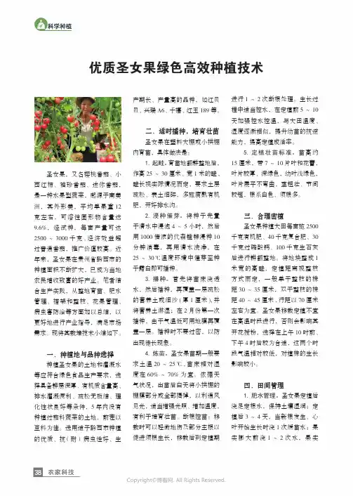 211170268_优质圣女果绿色高效种植技术