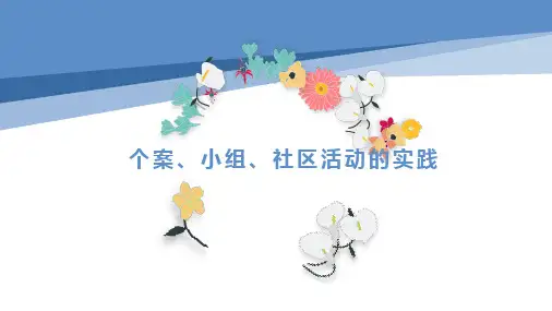 个案、小组和社区活动的实践