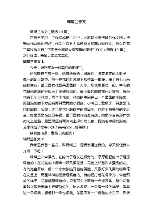 蝴蝶兰作文