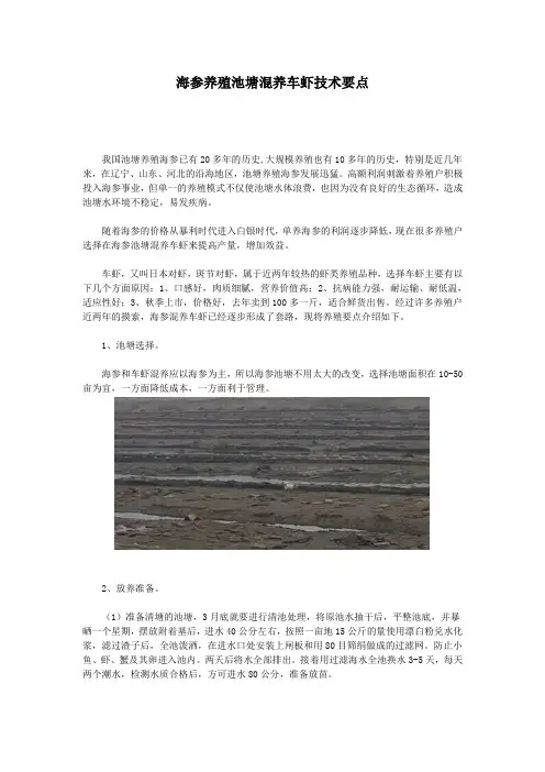 海参养殖池塘混养车虾技术要点