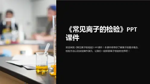 《常见离子的检验》课件